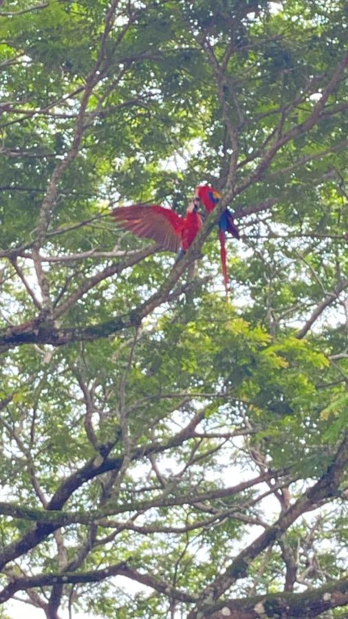 Las Plumas De Cabuya Cabuya  Екстериор снимка